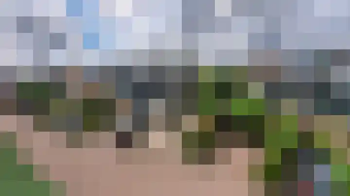 Strobloem 8 Leiden thumbnail 48