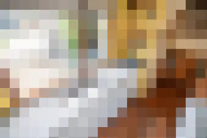 Strobloem 8 Leiden thumbnail 5