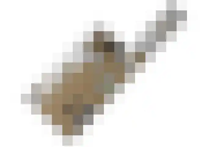 Strobloem 8 Leiden thumbnail 50