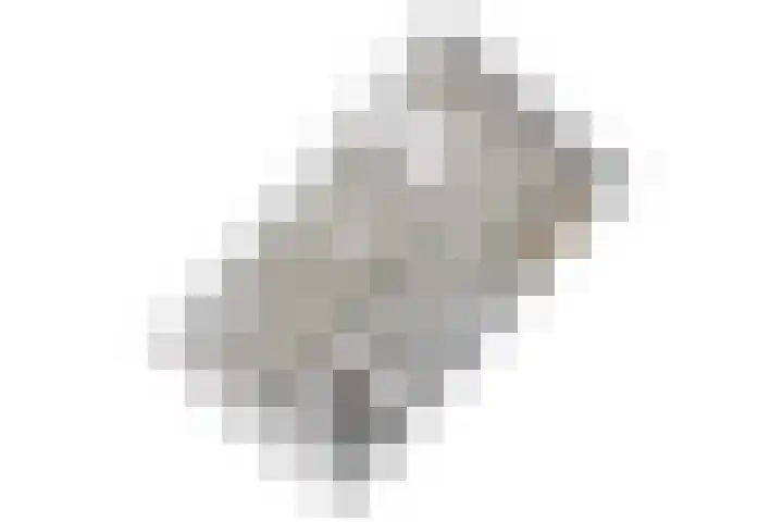 Strobloem 8 Leiden thumbnail 52