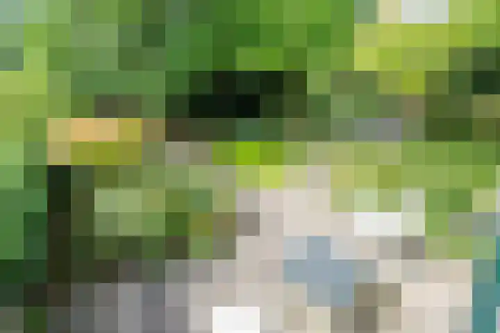 Strobloem 8 Leiden thumbnail 9