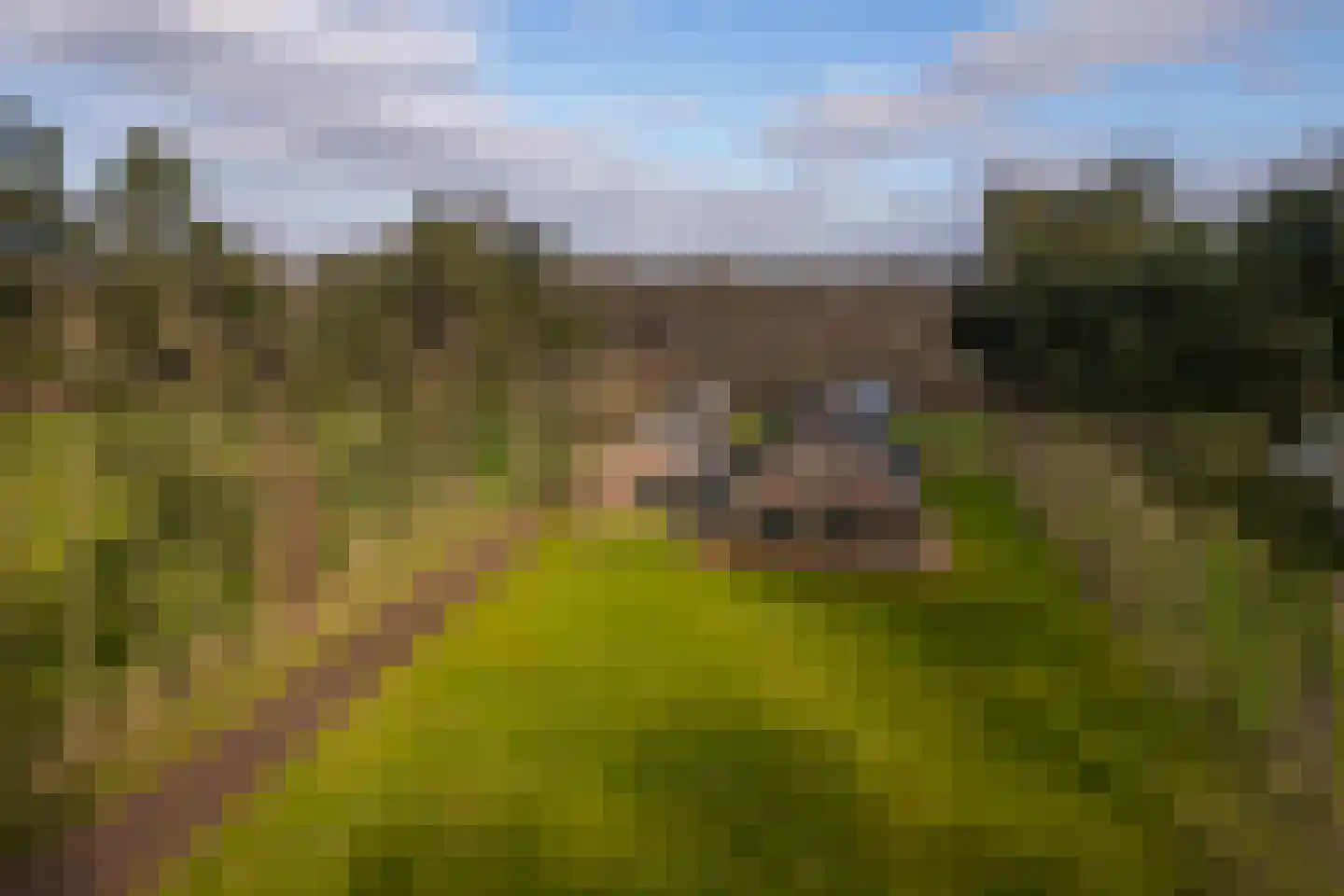 Stroeërweg 33 Stroe thumbnail 51