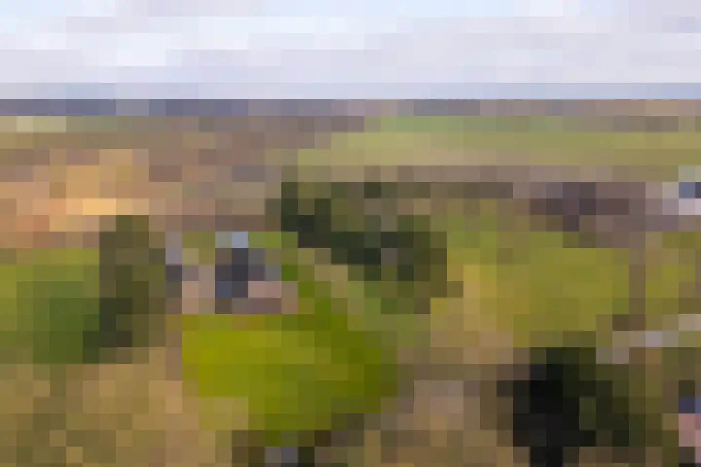 Stroeërweg 33 Stroe thumbnail 53
