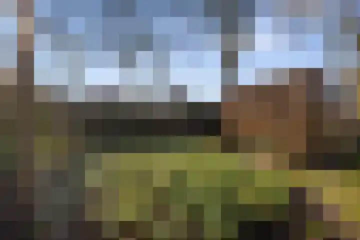 Stroeërweg 82 Stroe thumbnail 38