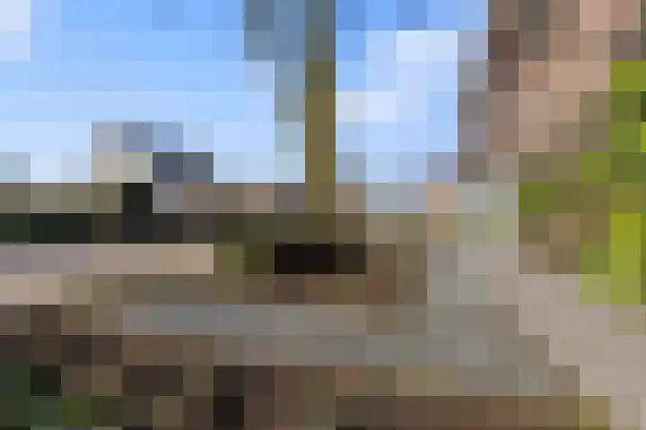 Stroeërweg 82 Stroe thumbnail 46