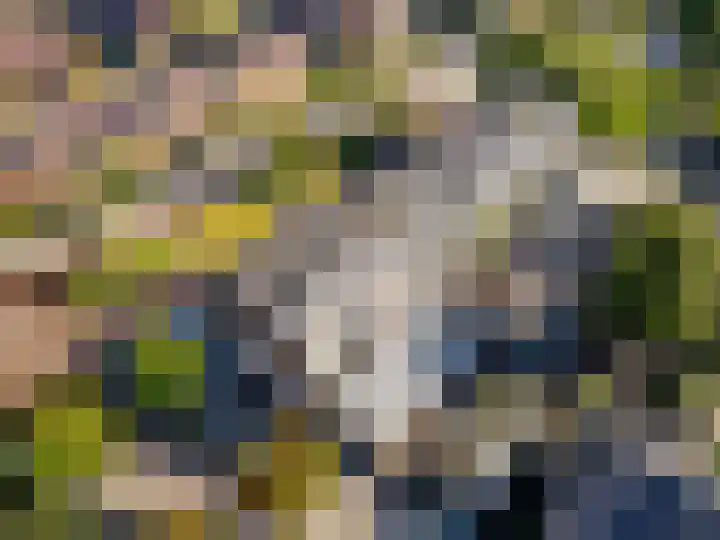 Stroeslaan 27 Hilversum thumbnail 29
