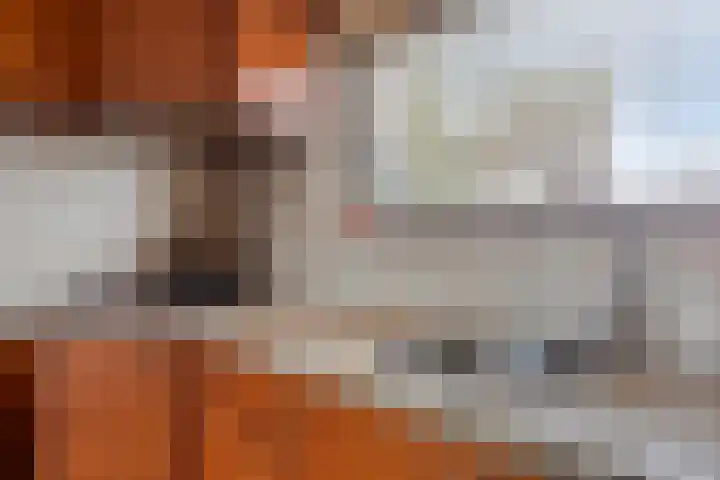 Strohuls 16 Asten thumbnail 15