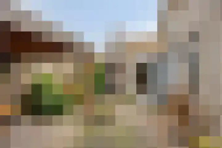 Strohuls 16 Asten thumbnail 33