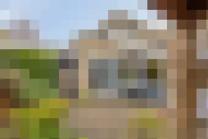 Strohuls 16 Asten thumbnail 34