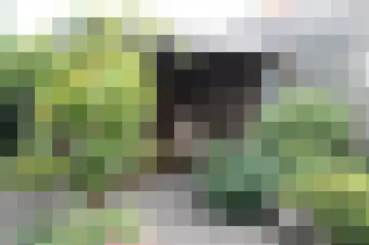 Strohuls 16 Asten thumbnail 38