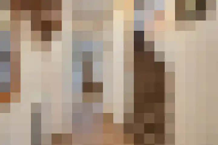 Strohuls 16 Asten thumbnail 7
