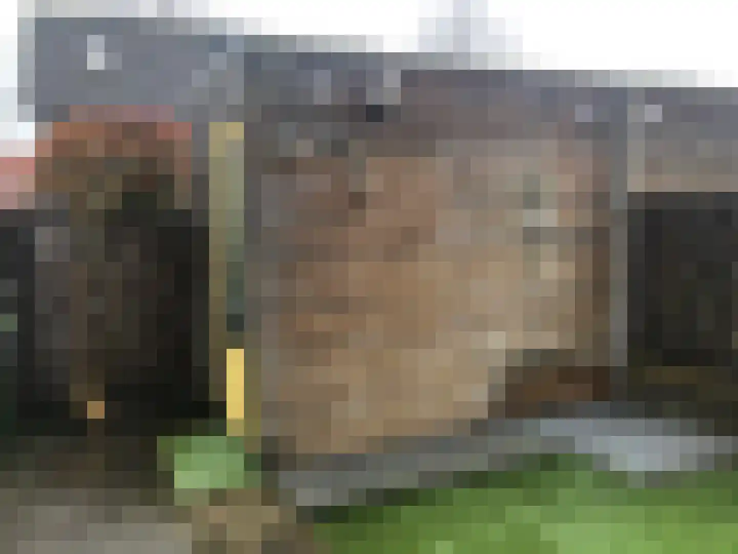 Strohuls 49 Asten thumbnail 24