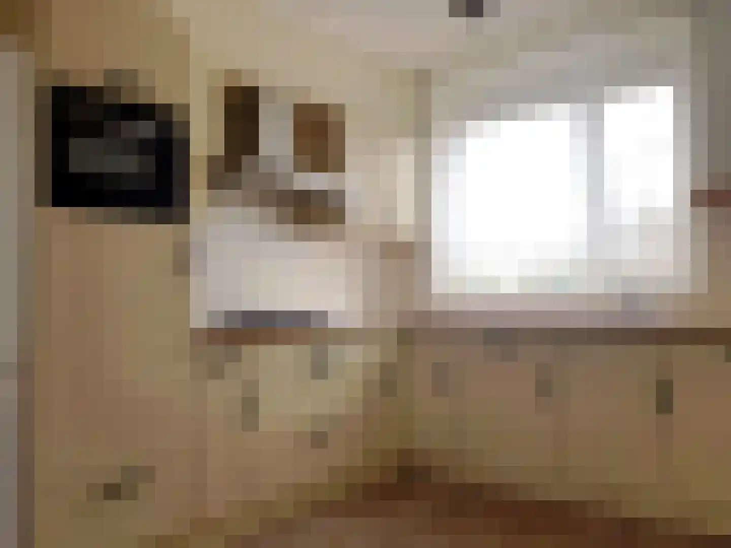 Strohuls 49 Asten thumbnail 7