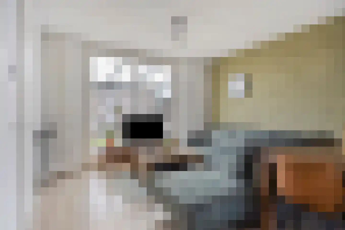 Strohuls 49 Asten thumbnail 9