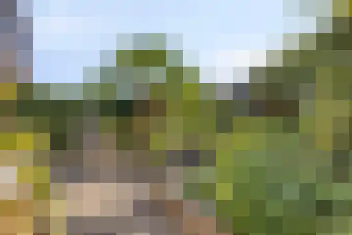 Stroinksbleekweg 34 Enschede thumbnail 25