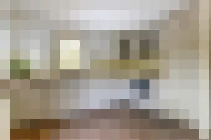 Strokel 23 A 10 Ermelo thumbnail 7