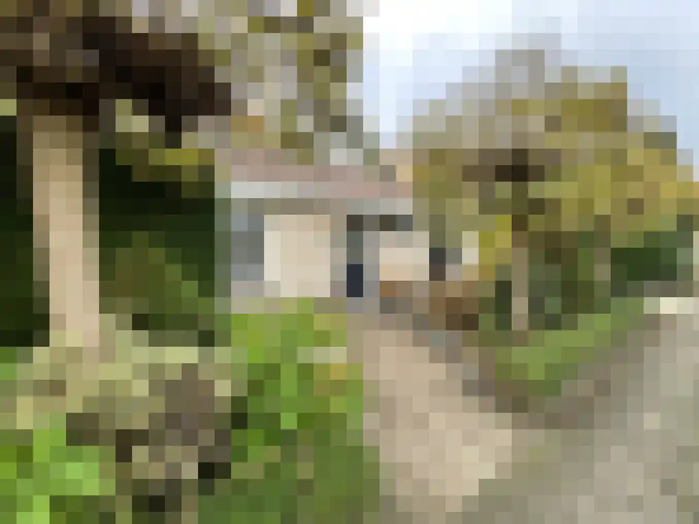 Strokel 23 A 32 Ermelo thumbnail 23