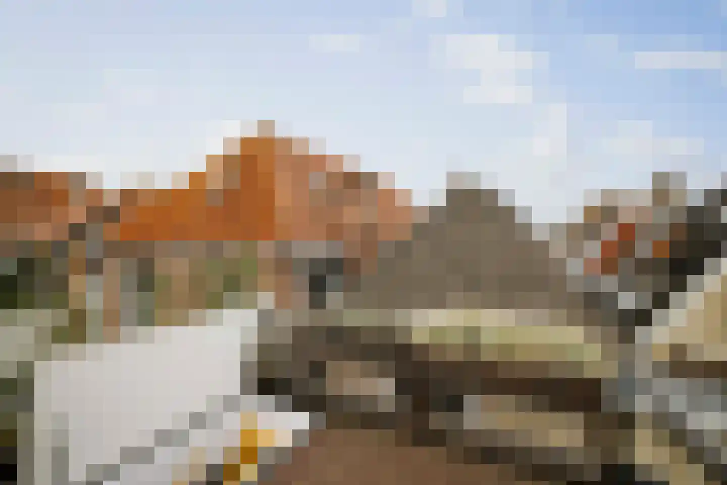 Stromarkt 28 Deventer thumbnail 44