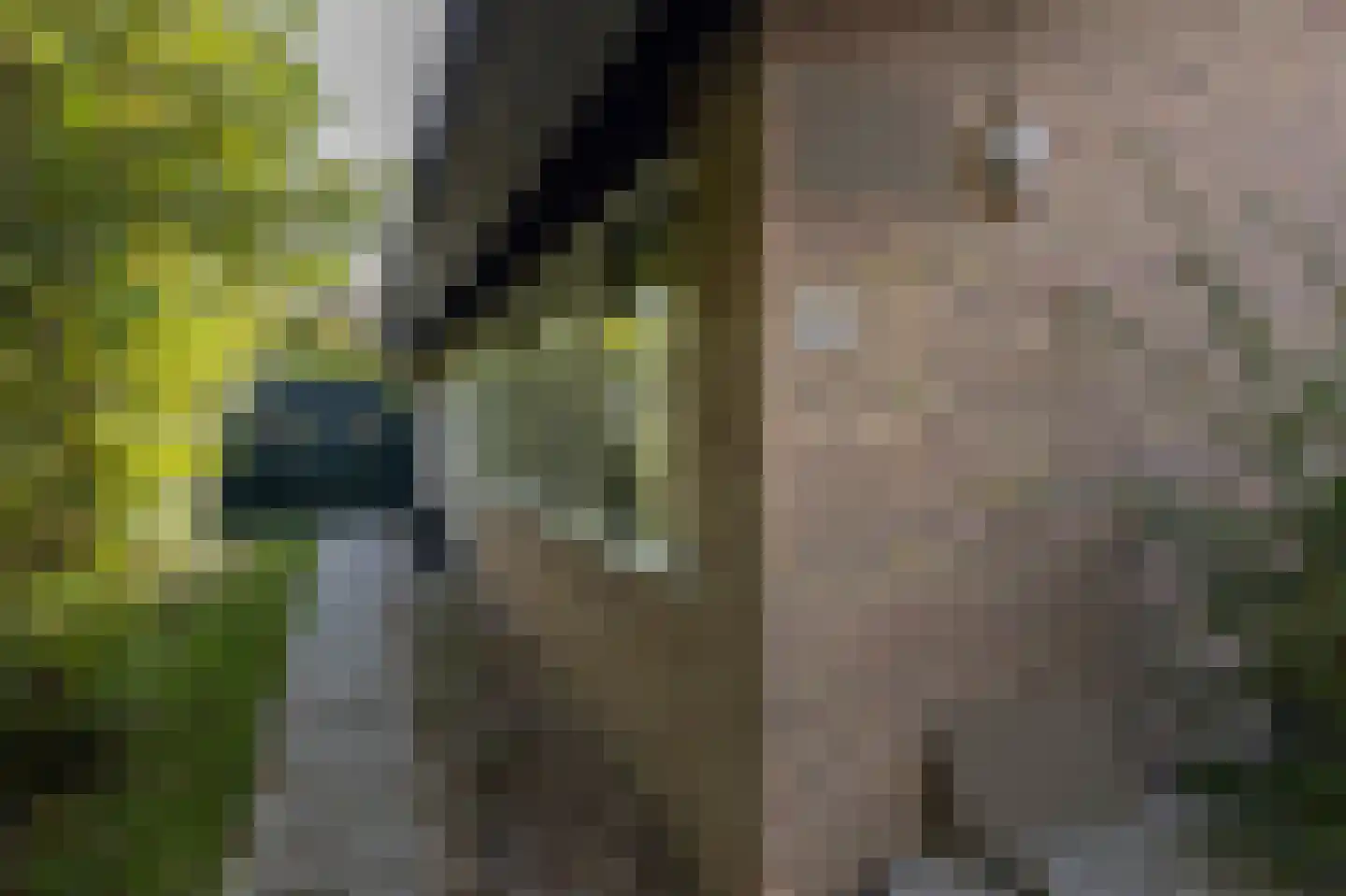 Stroming 6 Zoutelande thumbnail 22