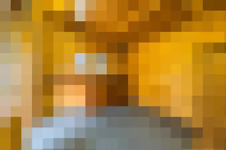 Stroodorpe 36 Sluiskil thumbnail 26