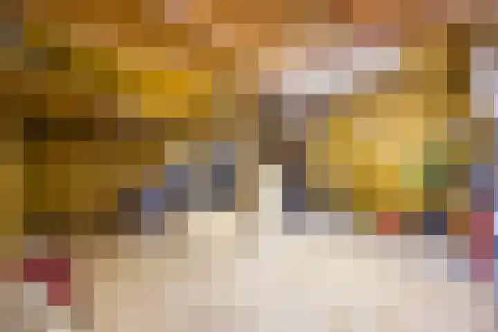 Stroodorpe 36 Sluiskil thumbnail 27