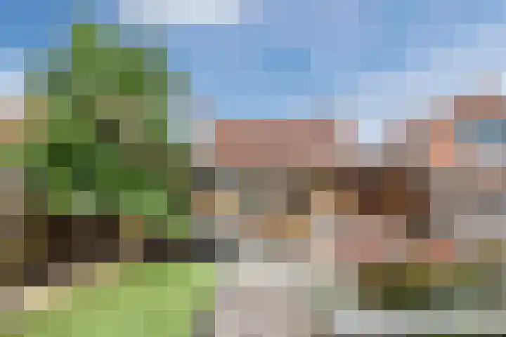 Stroodorpe 36 Sluiskil thumbnail 28