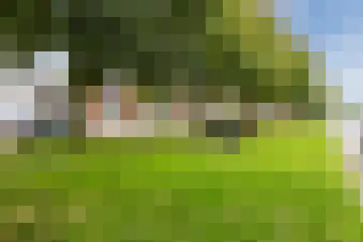 Stroodorpe 36 Sluiskil thumbnail 31