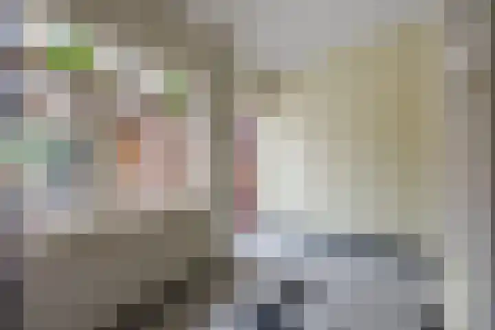 Stroodorpe 36 Sluiskil thumbnail 6