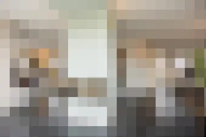 Stroomrug 2 Cuijk thumbnail 15