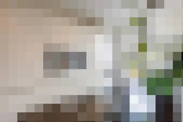 Stroomrug 2 Cuijk thumbnail 21