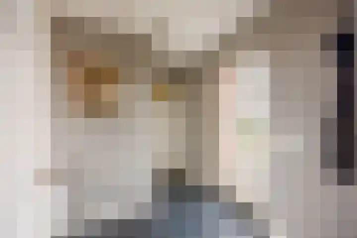 Stroomrug 2 Cuijk thumbnail 22
