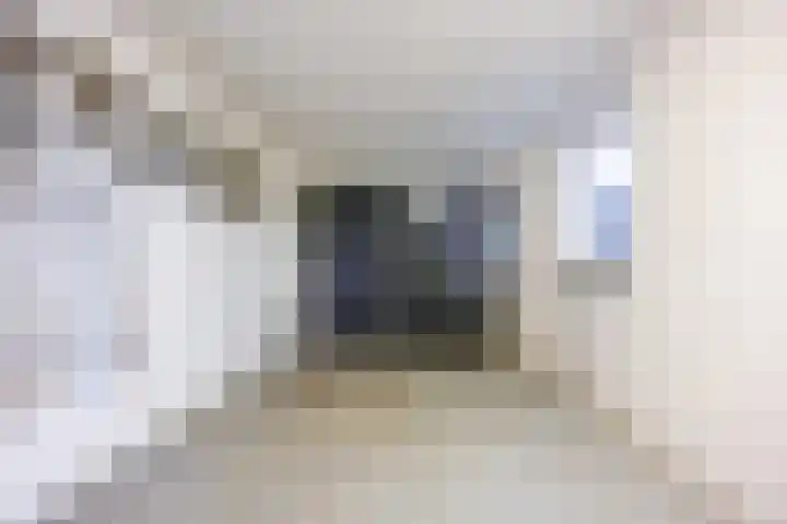 Stroomrug 2 Cuijk thumbnail 24