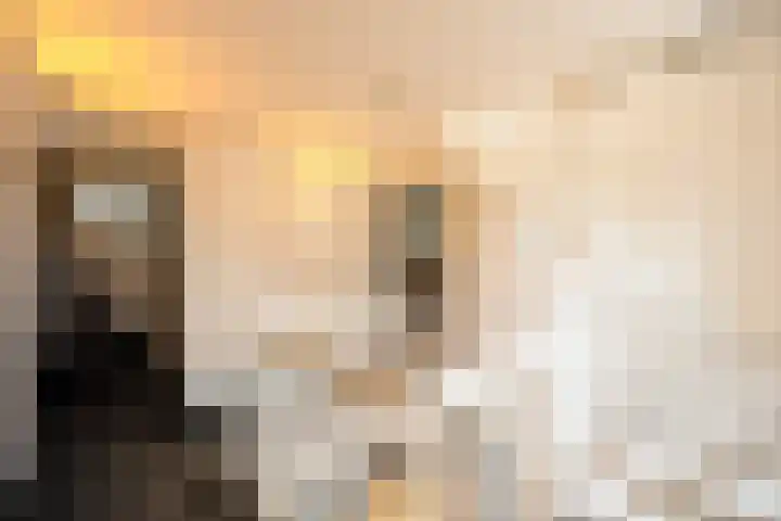 Stroomrug 2 Cuijk thumbnail 28