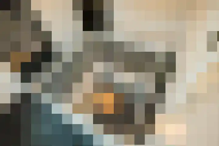 Stroomrug 2 Cuijk thumbnail 29