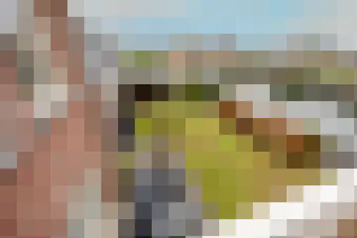 Stroomrug 2 Cuijk thumbnail 36
