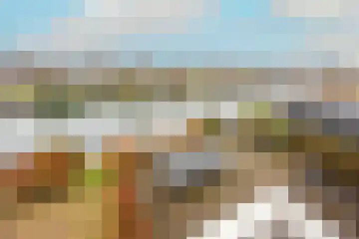Stroomrug 2 Cuijk thumbnail 37