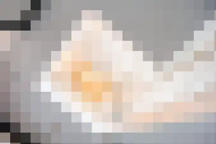 Stroomrug 2 Cuijk thumbnail 4