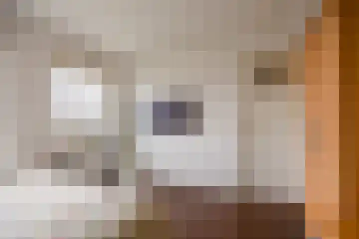 Stroomrug 2 Cuijk thumbnail 45