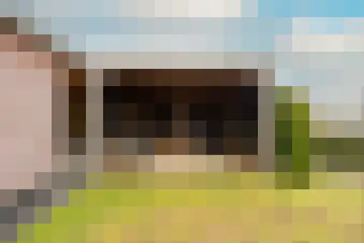 Stroomrug 2 Cuijk thumbnail 48