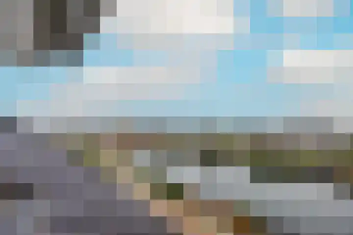 Stroomrug 2 Cuijk thumbnail 52