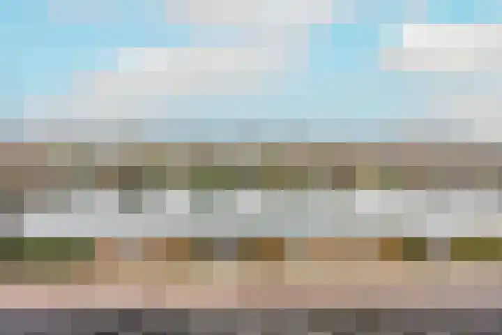 Stroomrug 2 Cuijk thumbnail 53