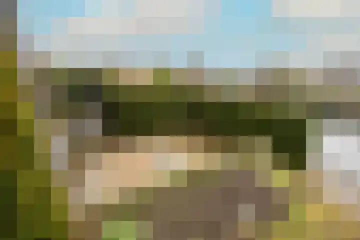 Stroomrug 2 Cuijk thumbnail 54