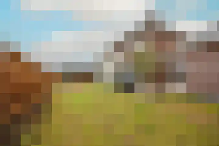 Stroomrug 2 Cuijk thumbnail 55