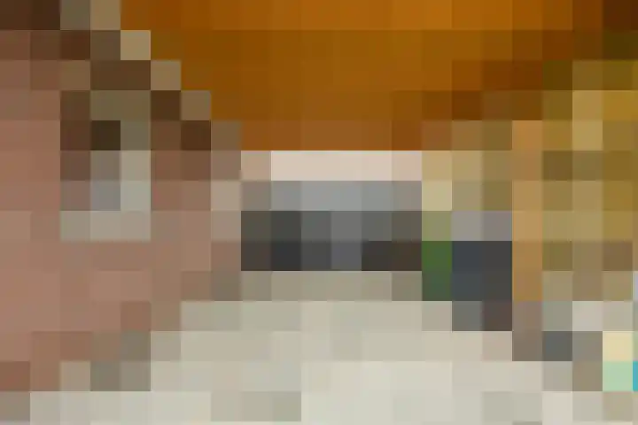 Stroomrug 2 Cuijk thumbnail 56