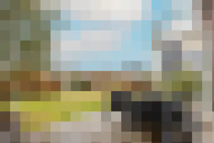Stroomrug 2 Cuijk thumbnail 57