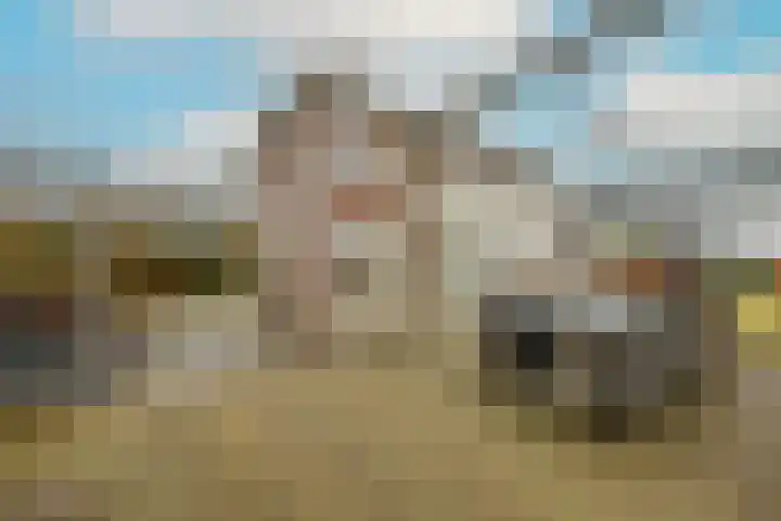Stroomrug 2 Cuijk thumbnail 63