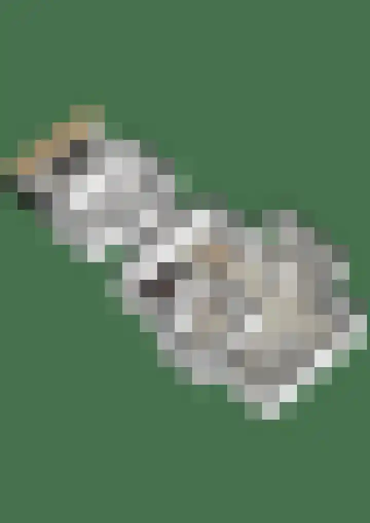 Stroomrug 2 Cuijk thumbnail 69
