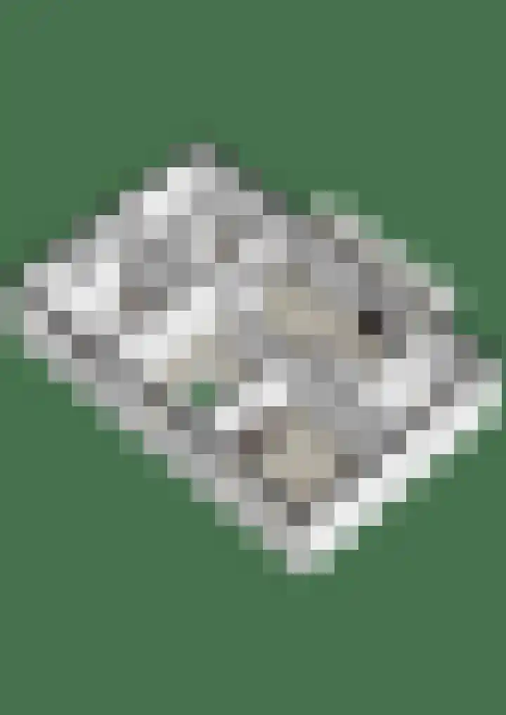 Stroomrug 2 Cuijk thumbnail 71