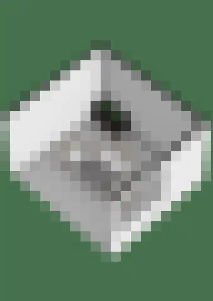 Stroomrug 2 Cuijk thumbnail 75