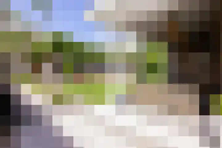 Stroomwal 19 Heemskerk thumbnail 23